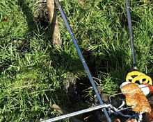 Wandergrill